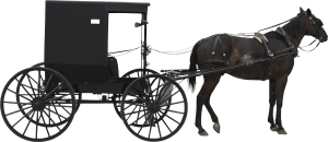 horse-and-cart