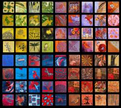 Rainbow Stash Buster WEB